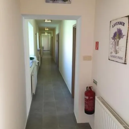Levendula Vendeghaz Gyor