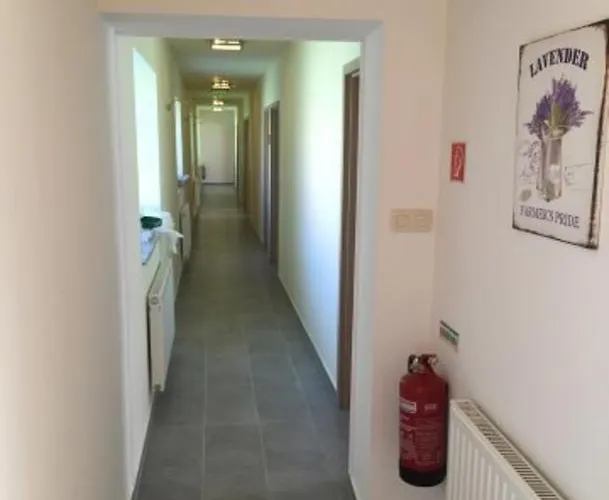 Levendula Győr